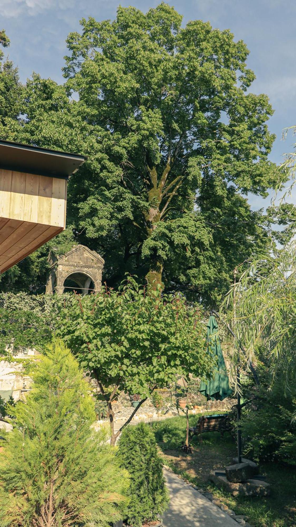 Garden Rooms In Kutaisi Bagian luar foto